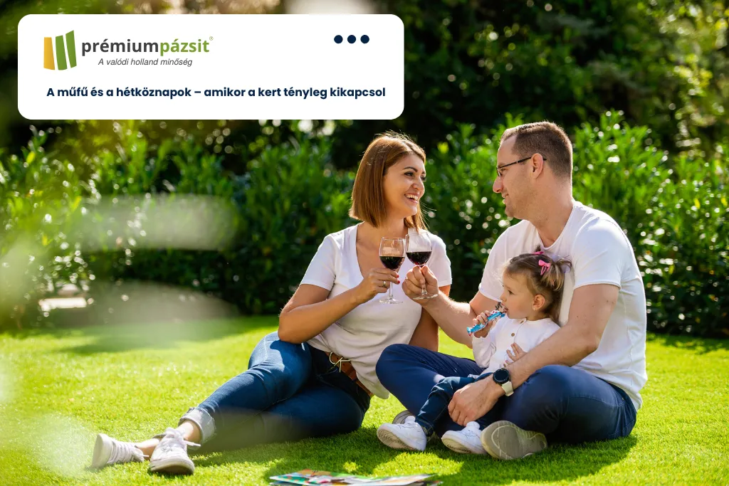 A műfű és a hétköznapok – amikor a kert tényleg kikapcsol