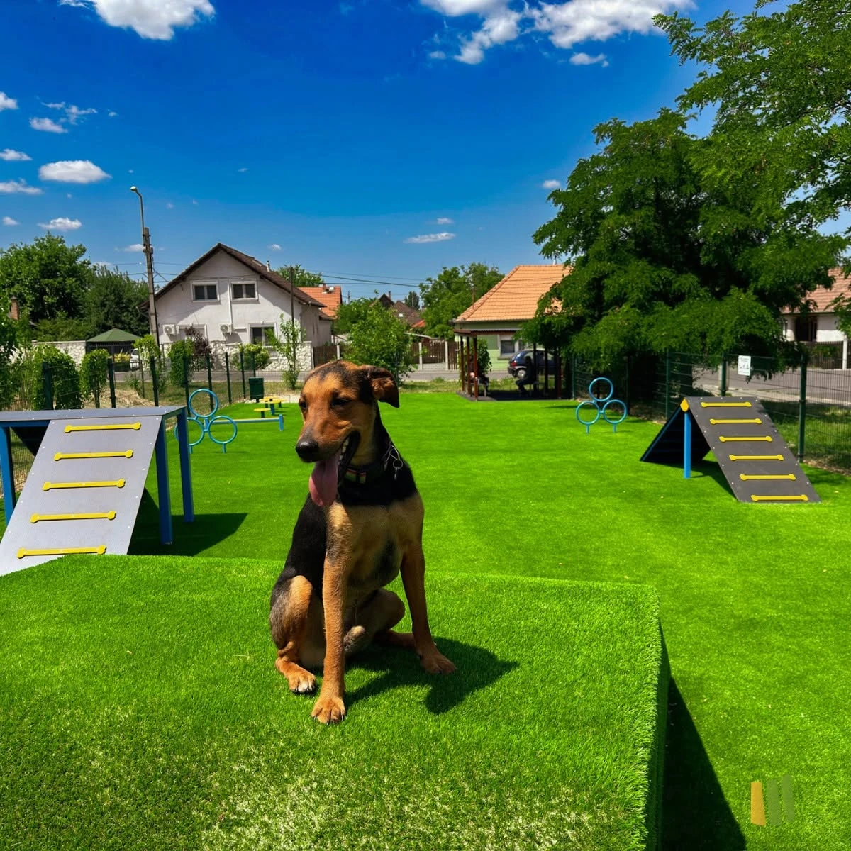 Kutyafuttató és agility park műfűvel – a gazdik és kutyák kedvence