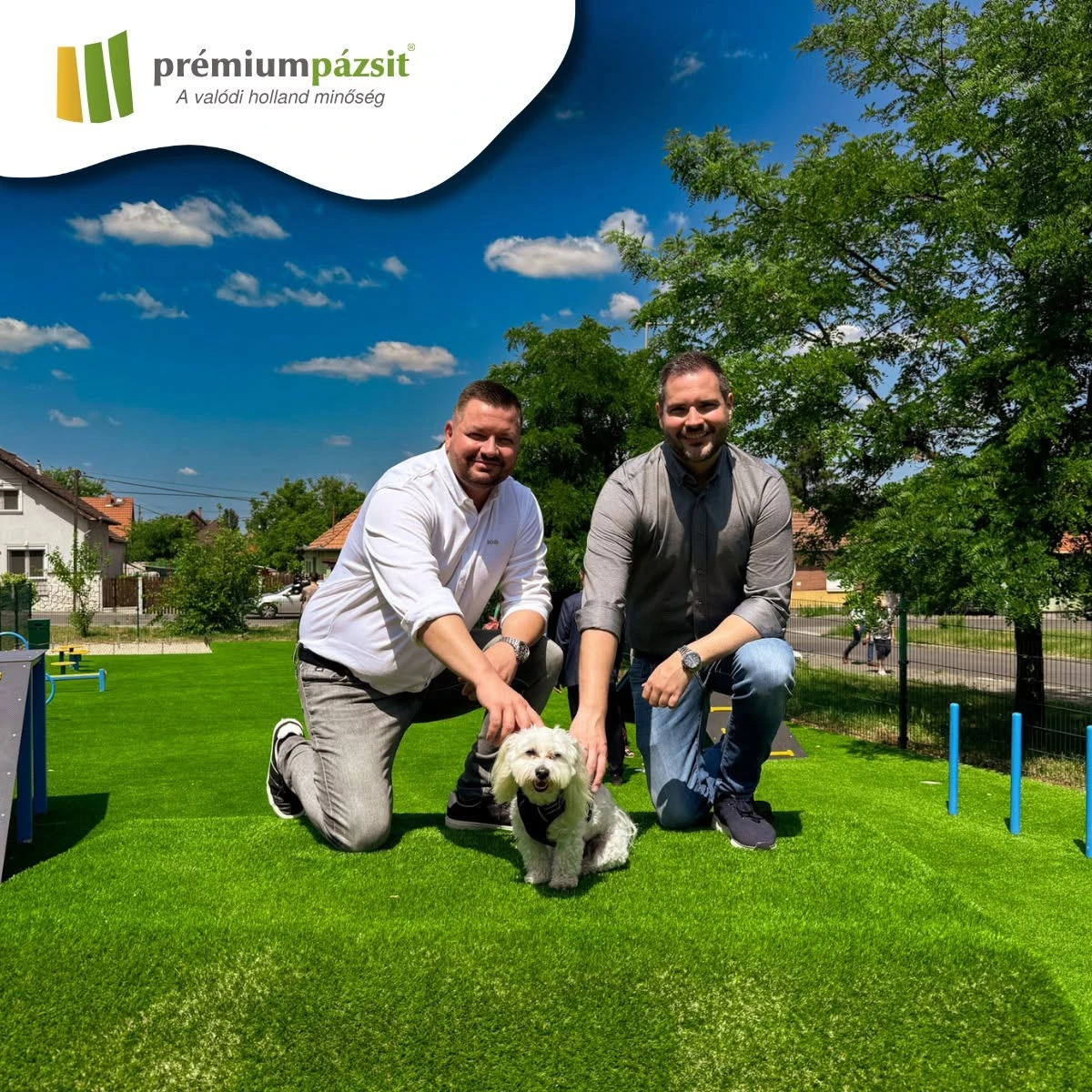 Kutyafuttató műfűvel – agility park referencia | Prémium Pázsit - kutyafuttato mufu 02 atado
