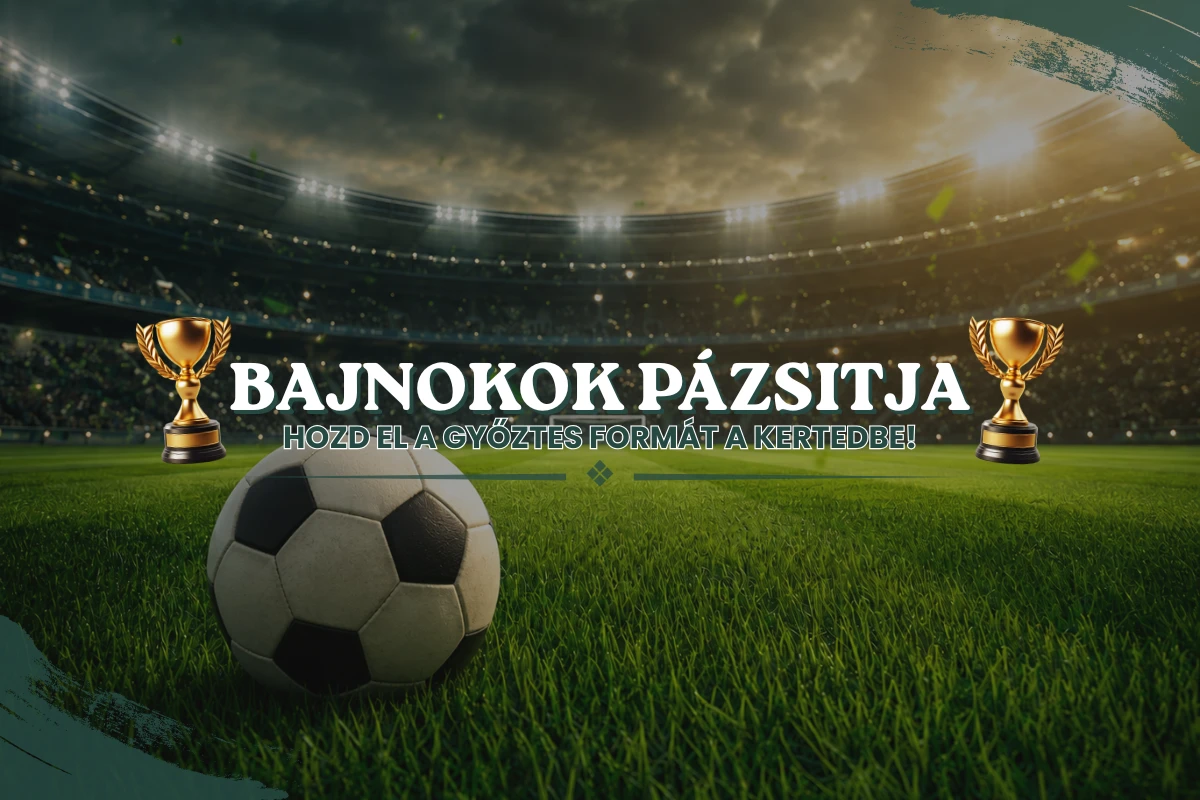 Prémium Pázsit® | Holland Prémium Műfű | Műfű Telepítés - BAJNOKOK P ZSITJA