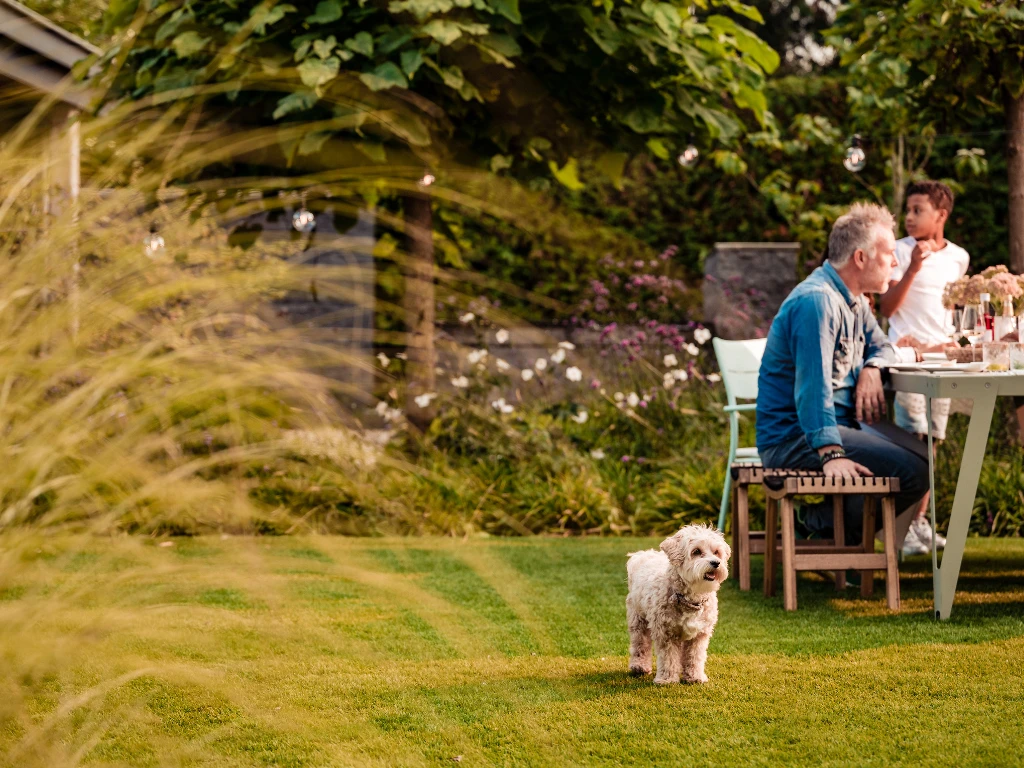 ONE-DNA Elan 45 - marketing